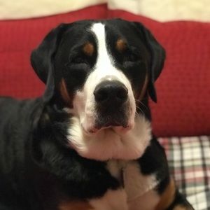 Meet your Posher, Karen